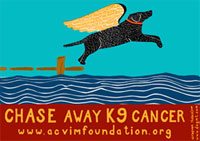 Stephen Huneck Chase Away K9 Cancer artwork